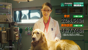 奈緒新CM【SBIいきいき少短のペット保険「奈緒さん 一人四役」篇】