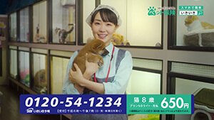 奈緒新CM【SBIいきいき少短のペット保険「奈緒さん 一人四役」篇】