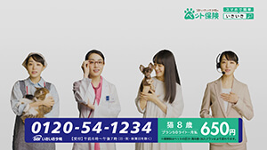 奈緒新CM【SBIいきいき少短のペット保険「奈緒さん 一人四役」篇】