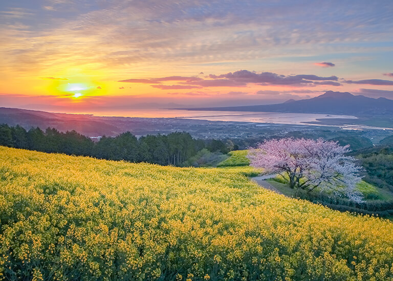 「春爛漫　朝陽（ちょうよう）と白木峰」 ptr_yamanaka さん