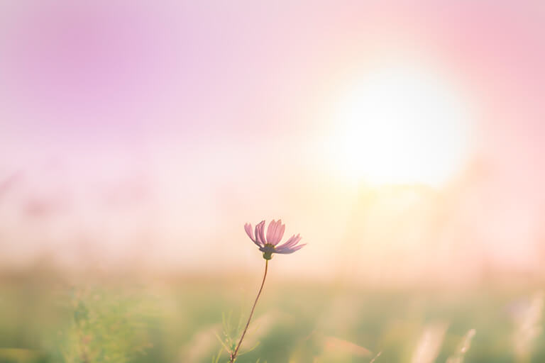 「Pink of Autumn」 masa_a_photographer さん