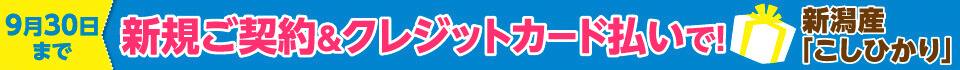 キャンペーン実施中！