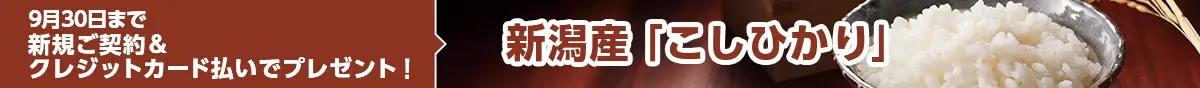 9月30日まで新規ご契約＆クレジットカード払いでプレゼント！ 新潟産「こしひかり」
