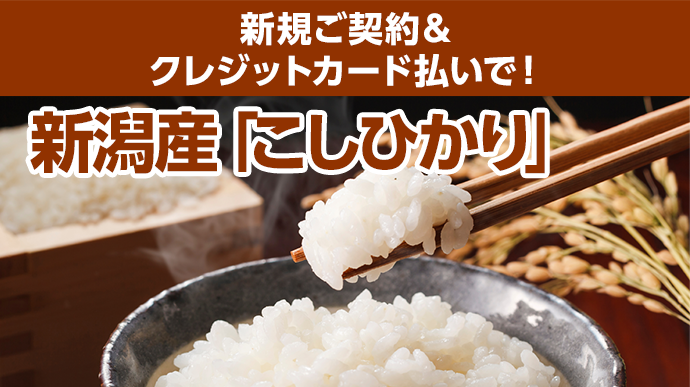 新規ご契約＆クレジットカード払いで！新潟産「こしひかり」