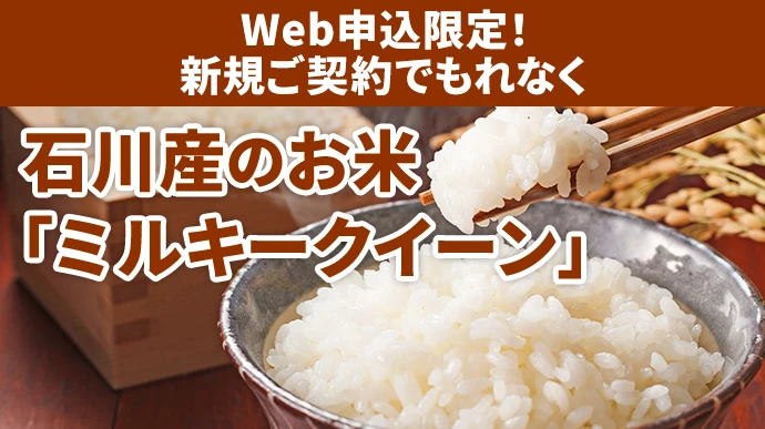 Web申込限定!新規ご契約でもれなく 石川産のお米「ミルキークイーン」