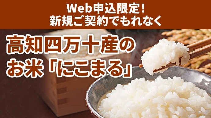Web申込限定!新規ご契約でもれなく 高知四万十産のお米「にこまる」
