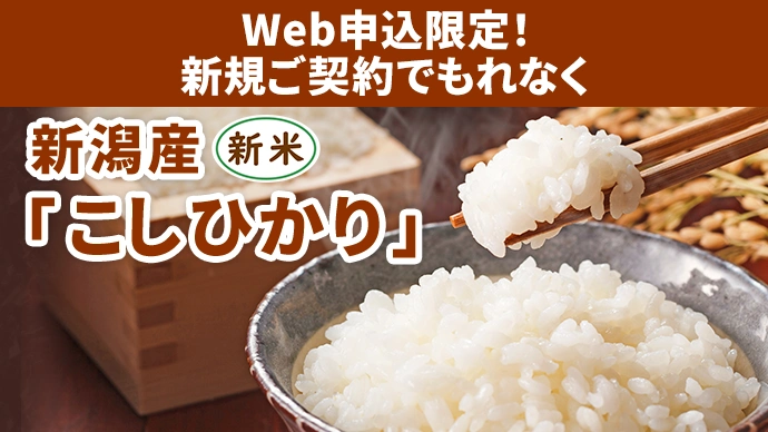 Web申込限定!新規ご契約でもれなく 新潟産「こしひかり」