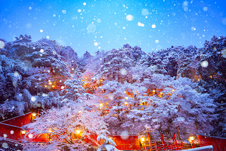 「雪夜の花時」　frontale さん