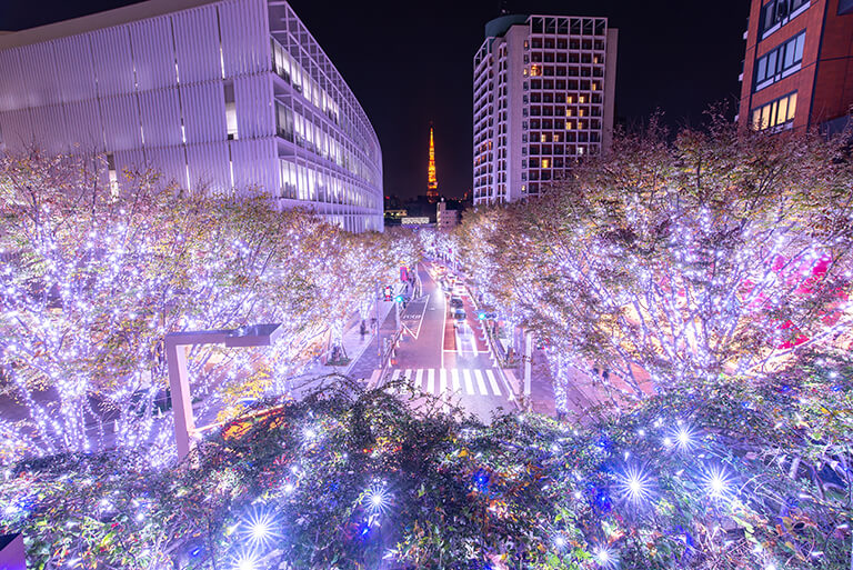 「Christmas lights」　bambi_gram_ さん
