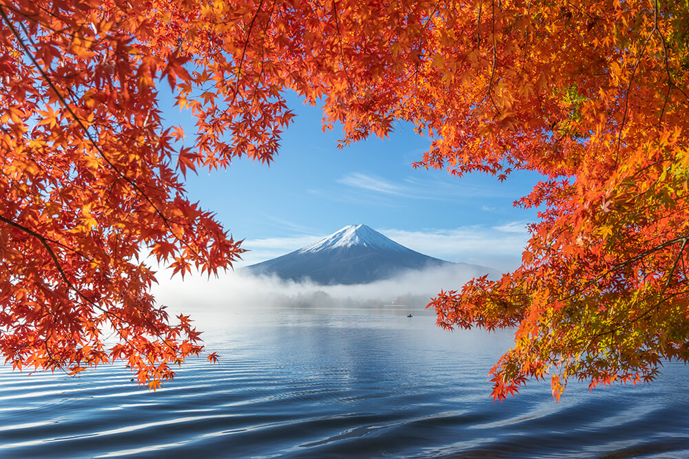 「Heaven on earth」 phaengy_v2 さん