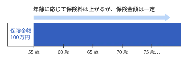 保険金定額タイプのイメージ