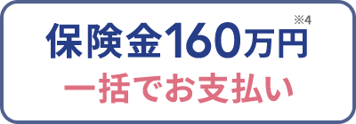 保険金160万円※4 一括でお支払い