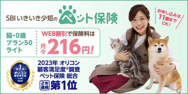 SBIいきいき少短のペット保険 猫・5歳プラン50ライト WEB割引で保険料は月々495円！